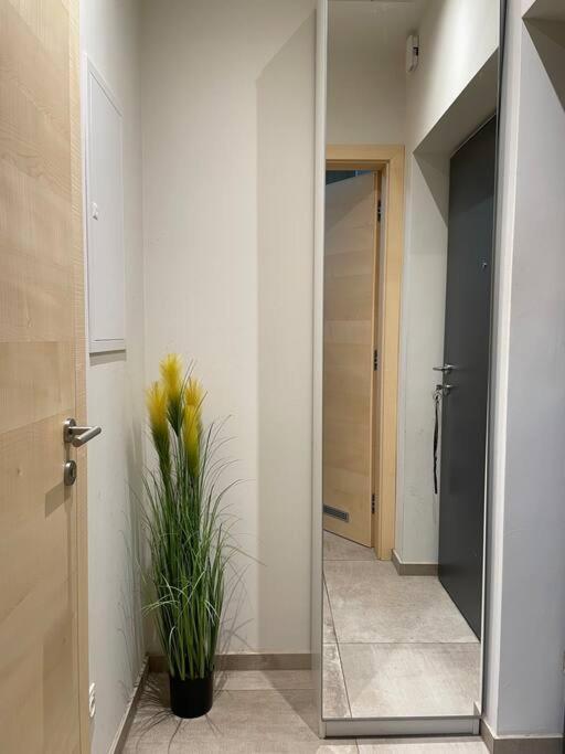 غراتس Gartenwohnung Mit Terrasse Und Parkplatz المظهر الخارجي الصورة
