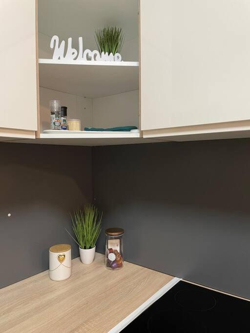 غراتس Gartenwohnung Mit Terrasse Und Parkplatz المظهر الخارجي الصورة